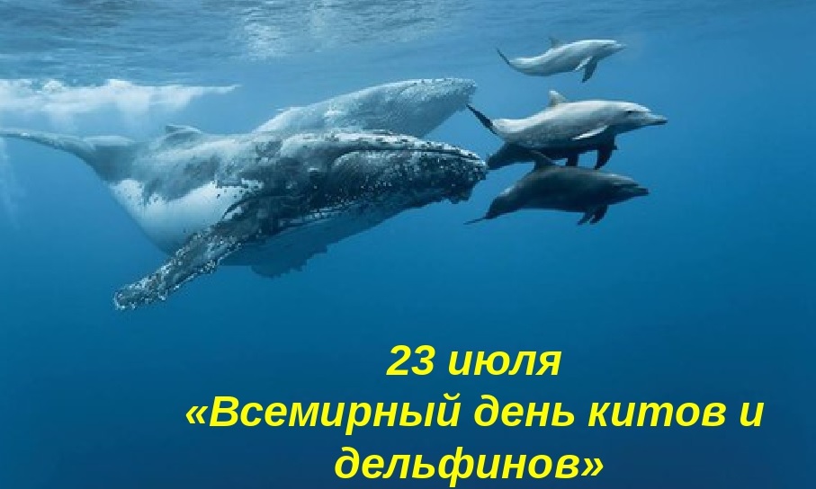 Новые Искренние короткие  календарь праздников всемирный день китов и дельфинов