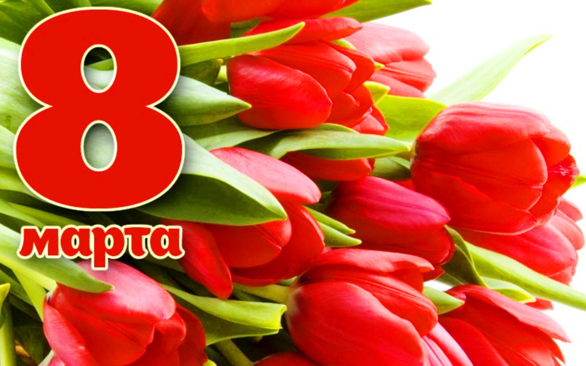 Поздравления с 8 марта тюльпаны
